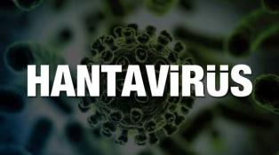 هانتا فيروس